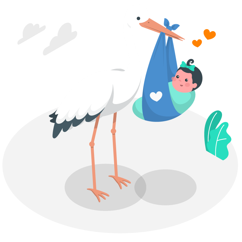Stork carrying a baby